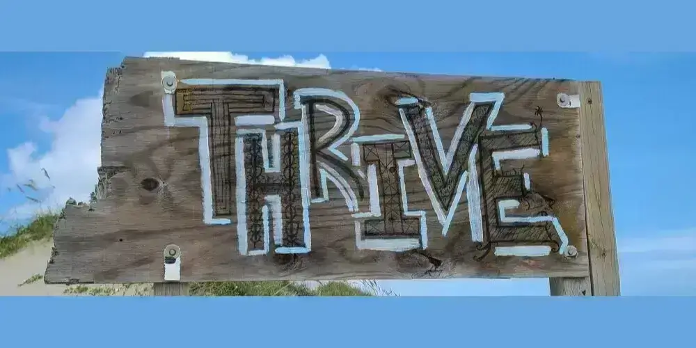 A wooden sign with the word "Thrive" painted on it, symbolizing growth and resilience against a backdrop of blue sky.